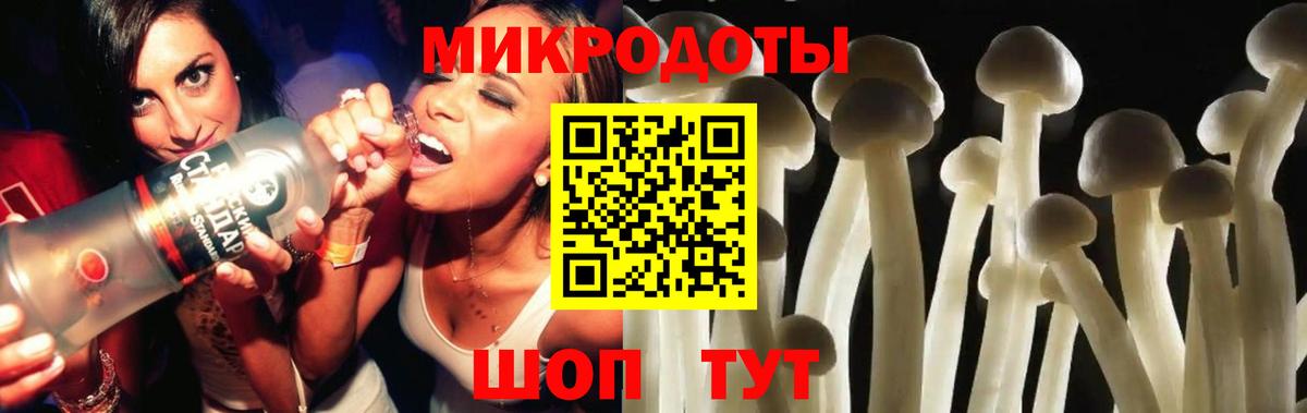 Канаш  Галлюциногенные грибы мицелий  Псилоцибиновые грибы Magic Shrooms  Вход с VPN 