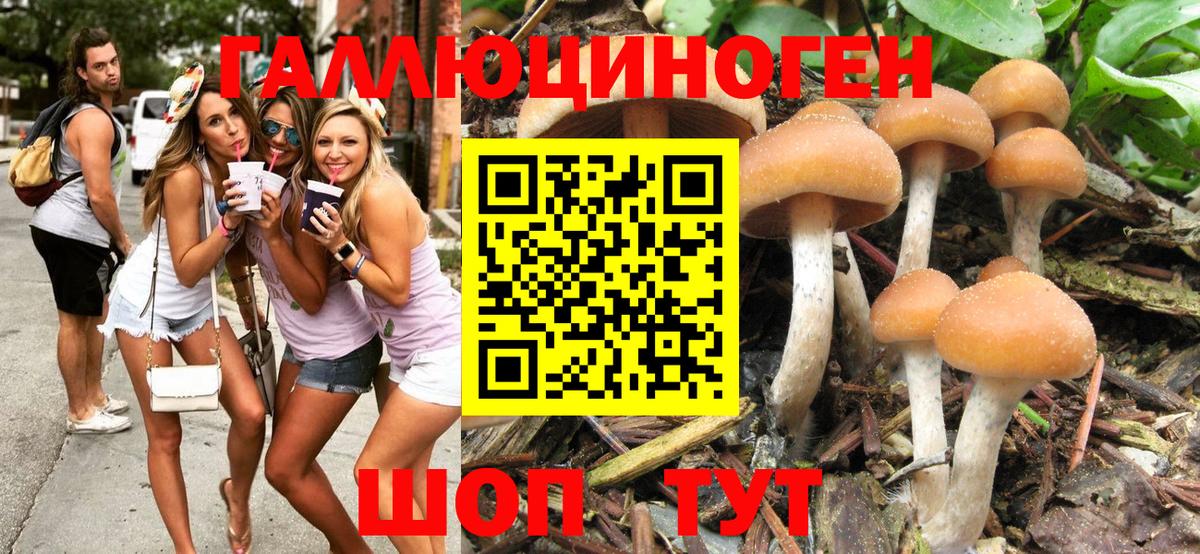 Галлюциногенные грибы мухоморы Канаш